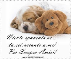 Immagine Amici speciali