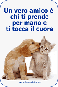 Amicizia Sincera