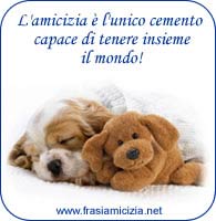 Frase Amicizia