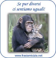 Frasi Amicizia