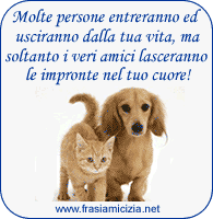 Frasi amicizia