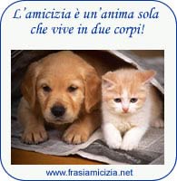 Frasi Amicizia