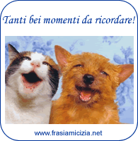 Momenti amicizia